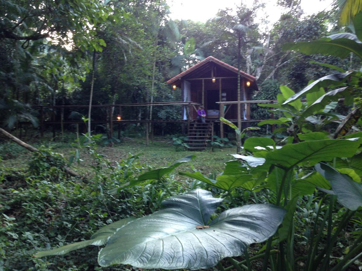 Готель Glamping Mangarito Іпоранґа Екстер'єр фото
